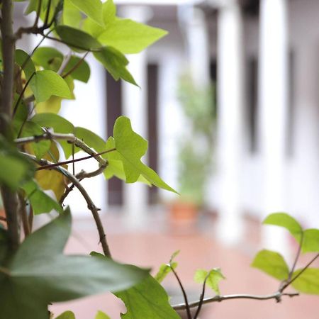 Home Granada Columnas Exterior foto